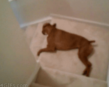 slide-304490-2599689-free-1493399028355-crop-1493399756847