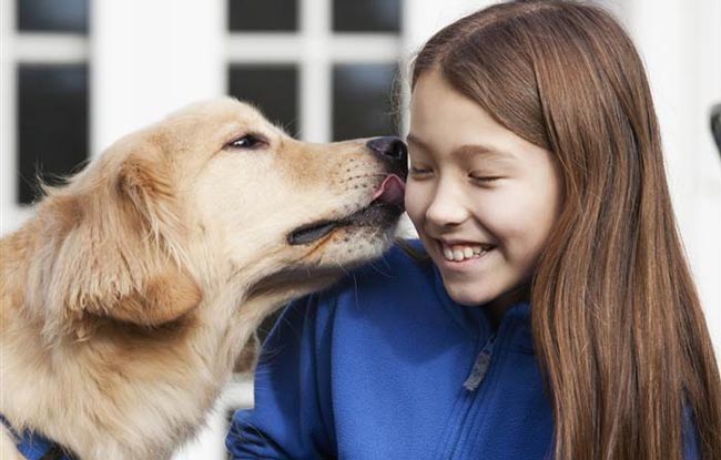 Bí ẩn trong gen có thể giải thích vì sao loài chó có thể yêu con người vô điều kiện