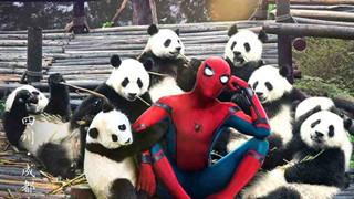 Xuất hiện poster phim Spider-man: Homecoming buồn cười không nhặt được mồm tại Trung Quốc