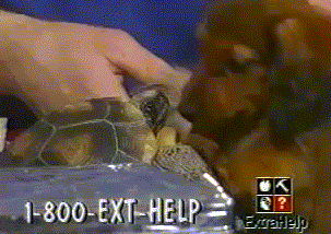 15 giây phút lỡ dại của các loài động vật 13