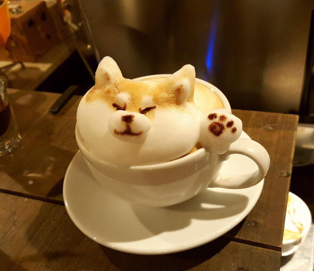 14 điều kỳ quặc chỉ có thể tìm thấy ở Nhật Bản