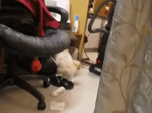 Thất vọng với 10 trường hợp ‘nuôi ong tay áo’ trong nhà, #2 khiến khổ chủ phải đi viện 4