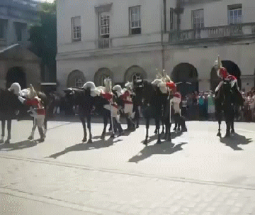 15 pha té ngã hi hữu khiến ai nhìn cũng thấy muối mặt 12