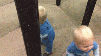 16 em bé hơi không được hên cho lắm khiến phụ huynh phải phì cười 7