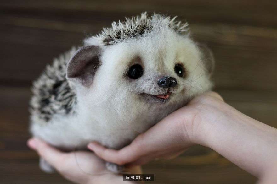 Chú nhím ‘lè lưỡi’ siêu đáng yêu, khi nhìn gần ai nấy đều dụi mắt kinh ngạc