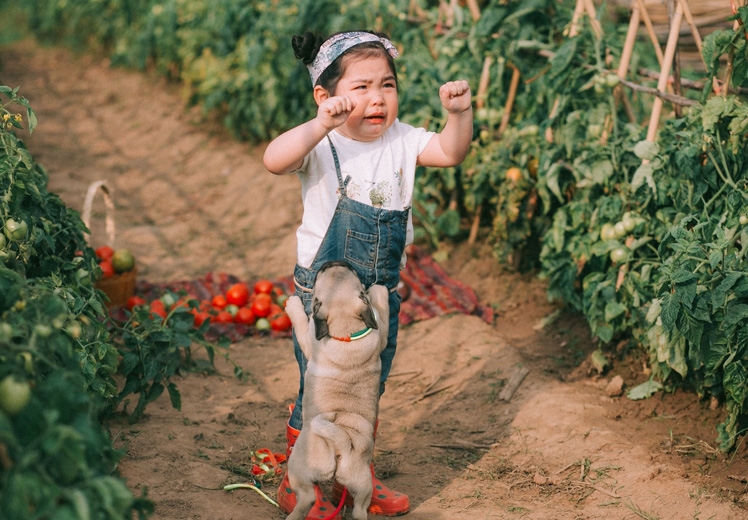 17 khoảnh khắc của những ‘anh hùng’ sợ chó khiến dân mạng cười ra nước mắt