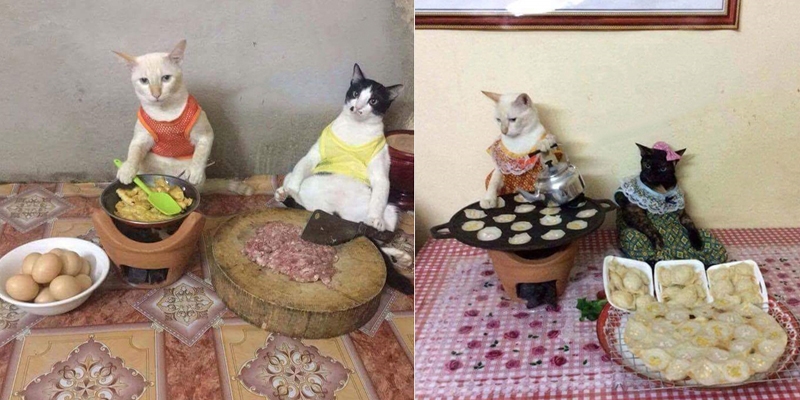 Đỡ không nổi trước cảnh các boss bị sen phạt phải làm việc nhà