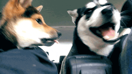 Khi lũ boss chúng nó tình thương mến thương với nhau  19