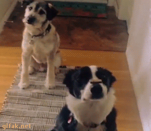 Khi lũ boss chúng nó tình thương mến thương với nhau  16