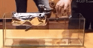 15 phản ứng khoa học thú vị mà hội mê khoa học sẽ phải thích mê 13