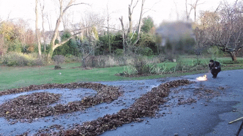 16 màn biễu diễn với lửa siêu ảo diệu đến khó tin 6