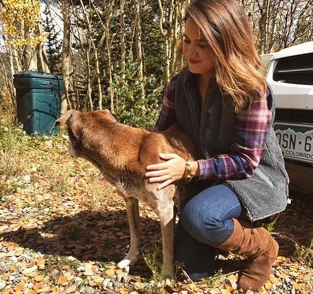 Cảm phục cô gái giải cứu chú chó bị lạc trong vách đá và điều kì diệu sau đó