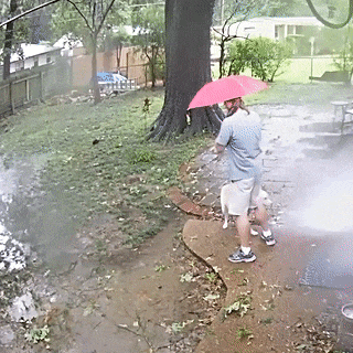 15 tình huống Thần Chết ngủ quên mà ai nhìn vào cũng thót hết cả tim 15