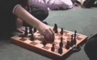 15 thánh chôm chỉa đáng yêu trong thế giới động vật 15