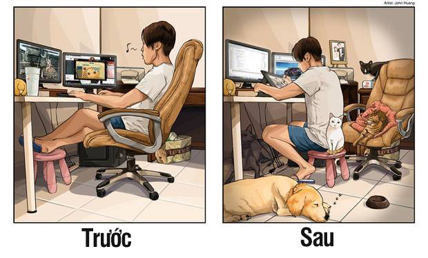 10 cảnh chân thật trước và sau khi nuôi thú cưng, nhiều người xem xong không khỏi ‘khóc ròng’