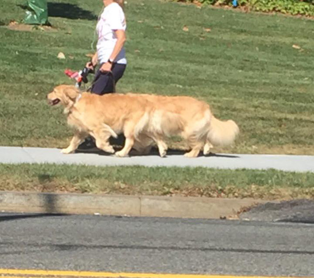 15 bức hình với góc nhìn gây bối rối cho người khác