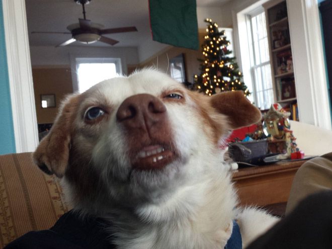 Khi Boss nhờ Sen chụp hình giúp và Sen chụp hơi bị có tâm