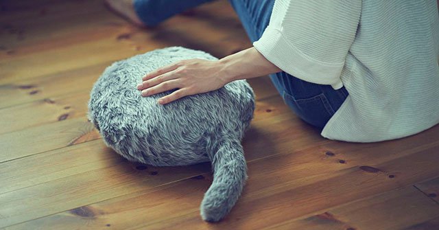 Xuất hiện chiếc gối có đuôi ngoe nguẩy dành cho những người không có điều kiện nuôi thú cưng