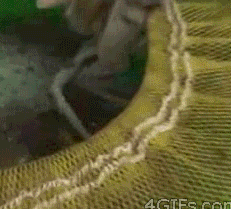 16 khoảnh khắc ngớ ngẩn của lũ thú cưng 9