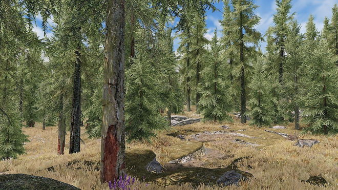Khi Modder nước ngoài ghép cây thật vào trong Skyrim và cho ra kết quả vô cùng ấn tượng