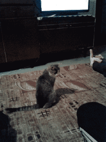 Những kẻ lỡ tay nghịch dại và cái kết không thể nào thốn hơn