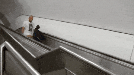 Những kẻ lỡ tay nghịch dại và cái kết không thể nào thốn hơn 2