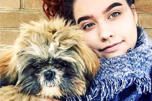 Đăng ảnh chụp chung với chó cưng lên Tinder, kết quả là cô gái phải hối hận về quyết định của mình