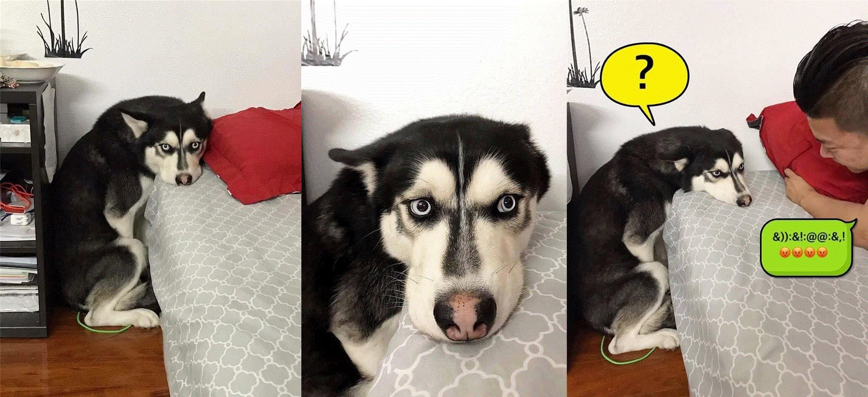 “Đau đầu” với thái độ “lồi lõm” của Boss khi bị ăn mắng