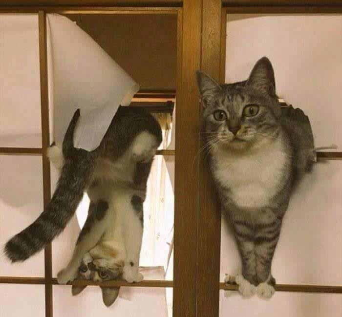 Tổng hợp những khoảnh khắc siêu hãi hùng của những con Boss