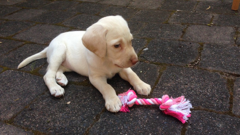 Tên trộm đột nhập lấy hết tài sản, vài ngày sau hắn ta trả lại thứ quý giá nhất của gia đình