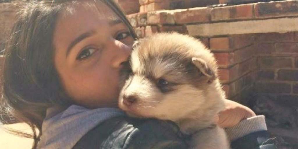 “Sự quyến rũ trưởng thành” của chú chó sau khi được nhận nuôi chỉ là một con cún nhỏ