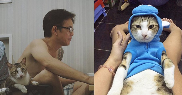 Đơn tố cáo của cô gái trẻ sau khi bị 4 con mèo và 3 con chó chiếm mất bố