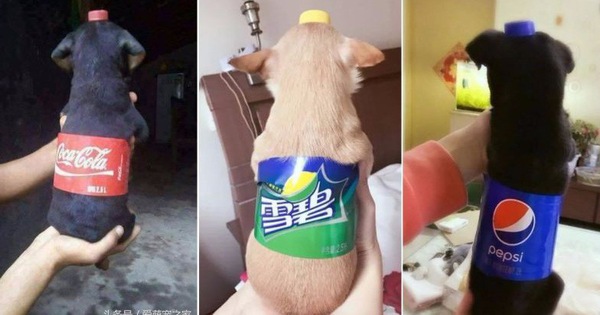  Dân tình đang đổ xô biến thú cưng thành chai nước ngọt trên mạng xã hội