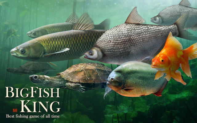 Big Fish King - Game câu cá sống động như thật trên Android