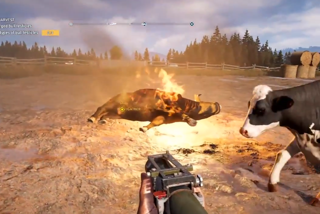 Far Cry 5 yêu cầu game thủ phải đi săn “của quý” của bò và chế biến thành món ăn