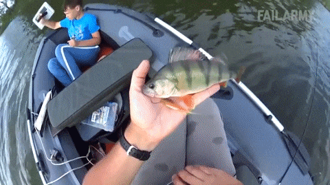 16 tai nạn ngớ ngẩn của những người sang năm mới rồi mà vẫn chưa hết xui 3