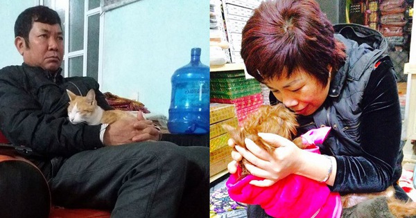 Cả thế giới ra mà xem đám boss đang cướp hết bố mẹ của chúng ta rồi này