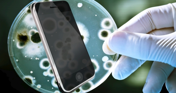 Bạn có biết chiếc điện thoại của bạn bẩn như thế nào hay không