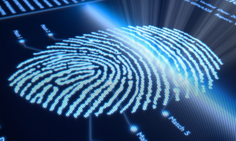 Những xu hướng phát triển trên điện thoại trong năm 2018