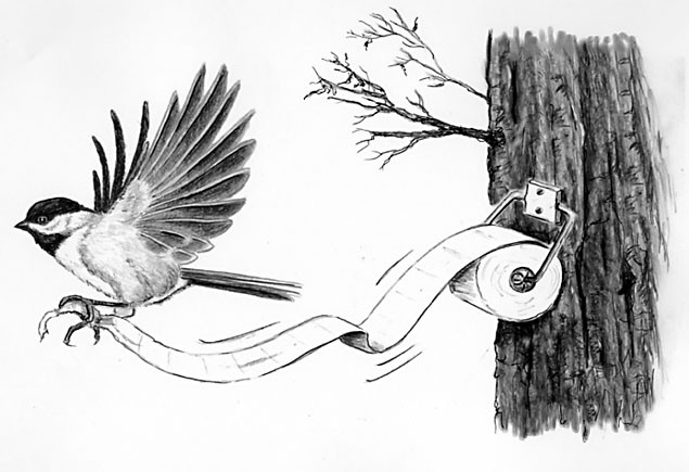 Cà tím chứa nicotine, loài chim không biết tiểu tiện và 16 sự thật không phải ai cũng biết