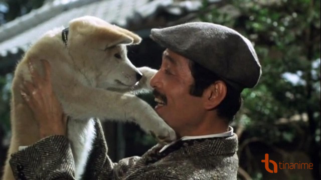 5 PHIM ĐIỆN ẢNH NHẬT VỀ LOÀI CHÓ KHIẾN NGƯỜI XEM THỔN THỨC