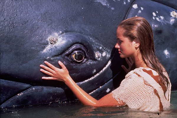 10 phim kinh điển lớn lên cùng tuổi thơ của thế hệ 8x, 9x Việt