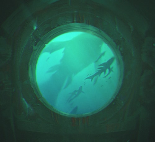 LMHT: Vị tướng mới tiếp theo sẽ là một Hỗ trợ với cơ chế hoàn toàn mới