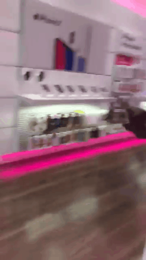 Chú gà Tây tung hoành cửa hàng T-Mobile, ị bậy ra mà nhân viên không dám chống trả