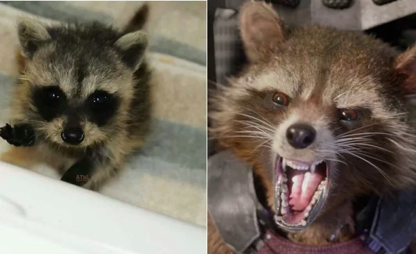 Thuở nhỏ các Siêu Anh Hùng trong Avengers có gì khác so với bây giờ 