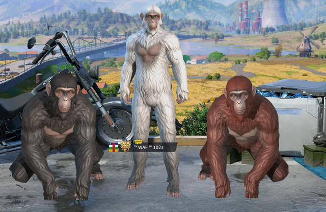 Rules of Survival và phong cách thời trang độc đáo nhất từ trước đến nay