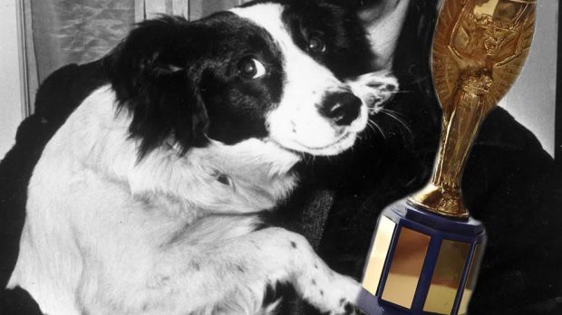 Tổng hợp 10 bí mất đáng kinh ngạc về chiếc Cúp Vàng cùa World Cup mà bạn cần phải biết