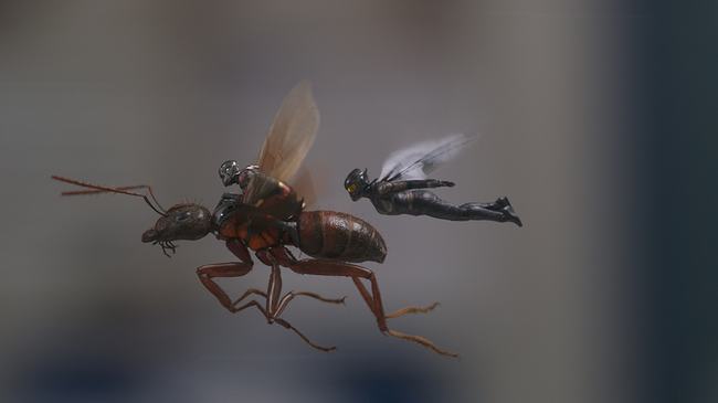 Đánh giá sớm Ant-Man and The Wasp: Kẻ khen người chê