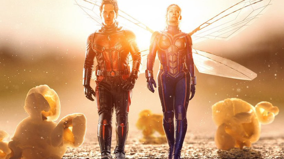 Sốc về sức mạnh của The Wasp - soái tỷ "chất như nước cất" của Người kiến 2