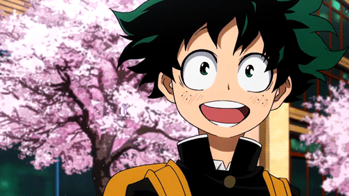 Midoriya Izuku midoriya izuku